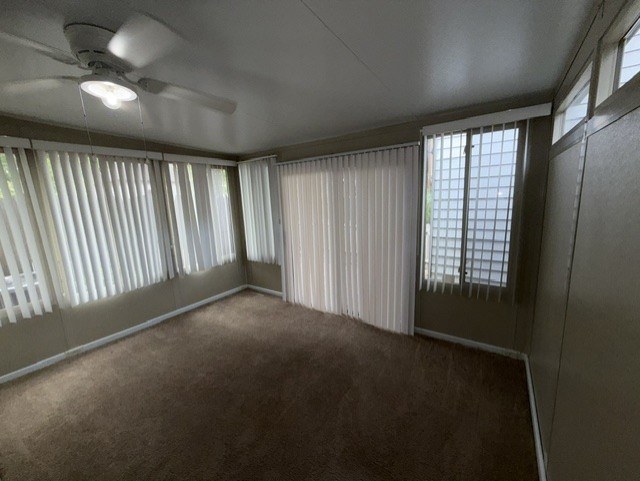 Gallery Photo 15